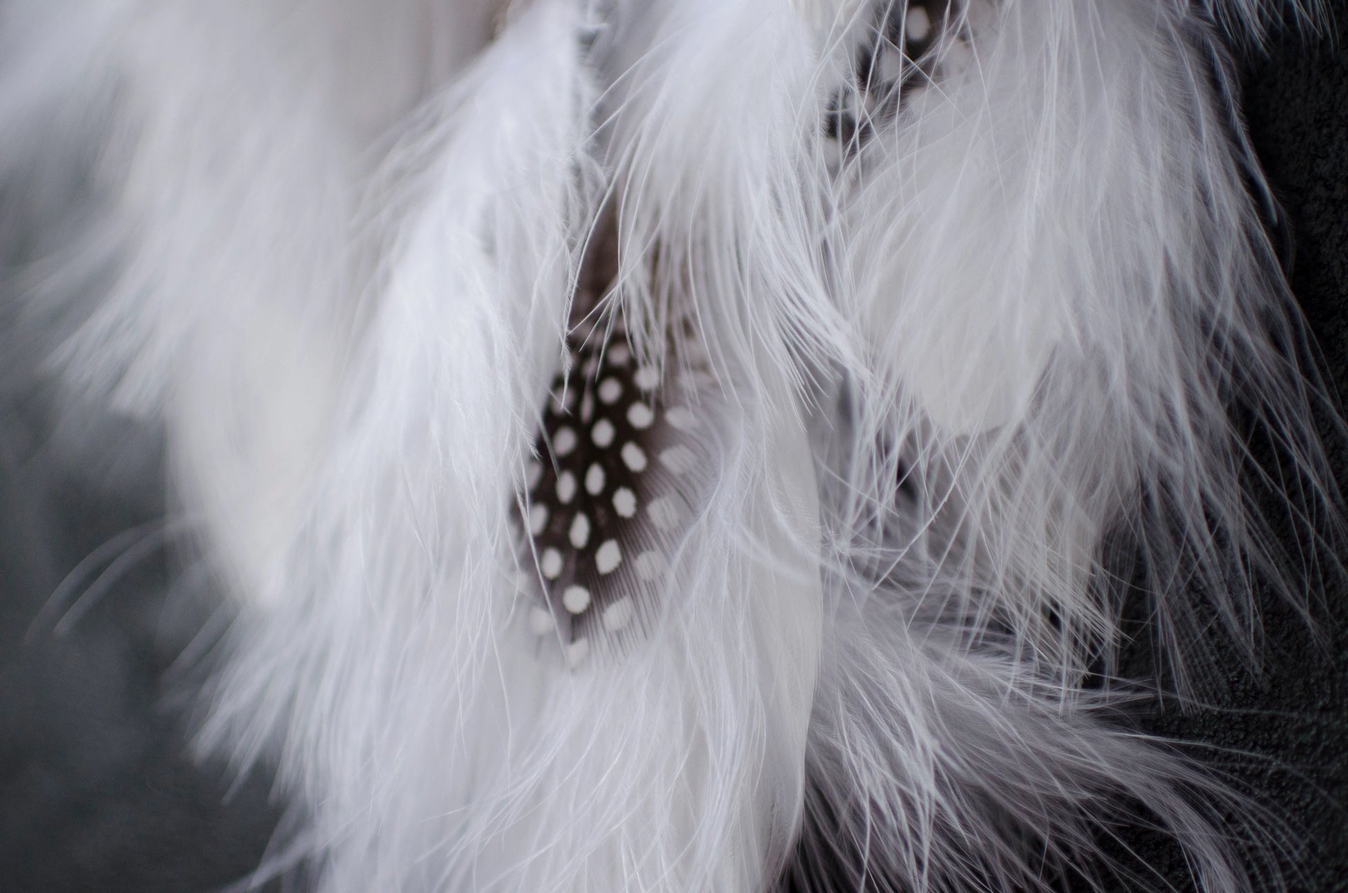 Traditional dreamcatcher with natural white feathers